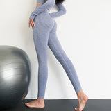 Tummy Control Workout Leggings Light Gray