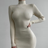 Knitted Turtleneck Long Sleeve Midi Dress Cream